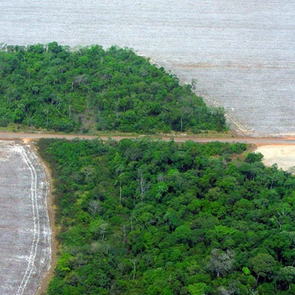 mato grosso