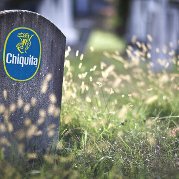 tombstone chiquita banana sticker plague fungus supply threatened costa rica