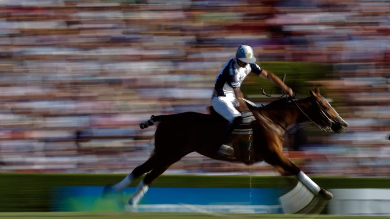 La Dolfina's Adolfo Cambiaso hits the ball during the 119th Argentine Polo Championship final match against Ellerstina in Buenos Aires.
