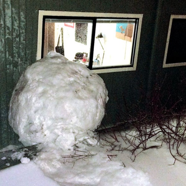 Reed Colelge Snowball