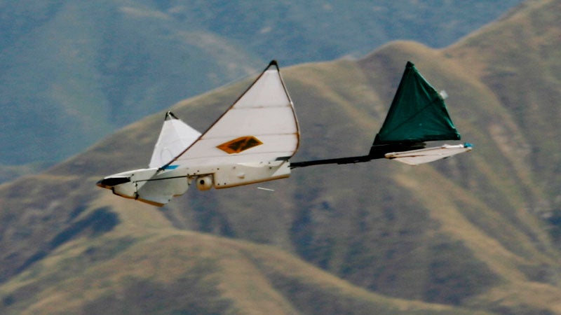 A SkySeer drone
