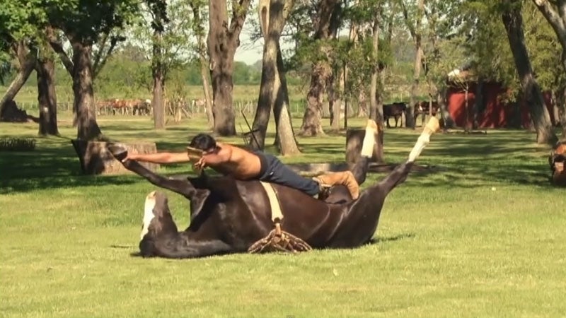 OutsideOnline News Horse Yoga Yoga Animals