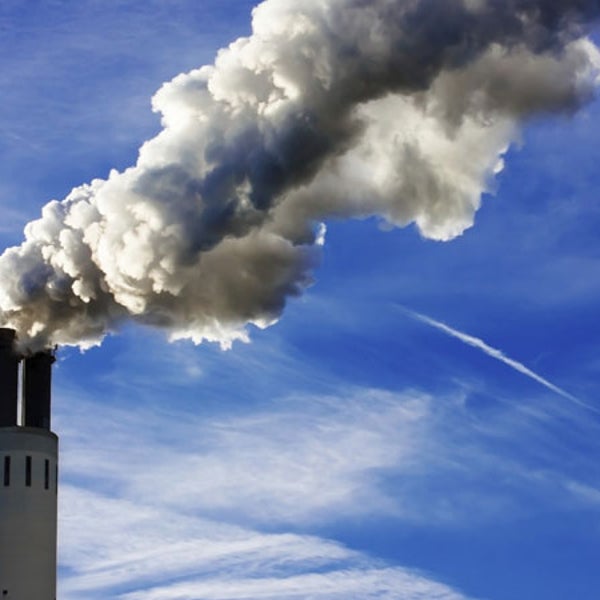 A Greenpeace founder suggested carbon emissions aren't to blame for climate change.
