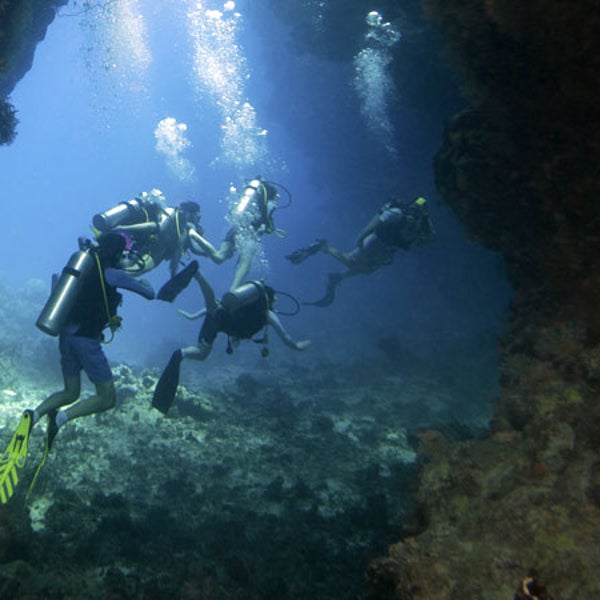 Scuba divers in an underwater c