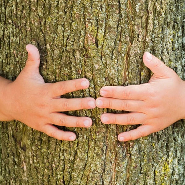 Tree hugger Hand Tree