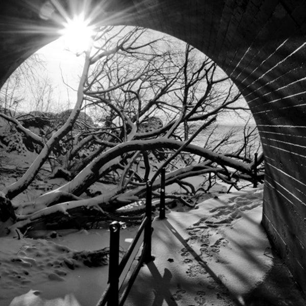 OutsideOnline Duluth Minn. Minnesota Rudy Hummel slept outside 365 consecutive days sleep outdoors triangular tree platfrom treehouse night three hundred sixty five stars Best Towns finalist
