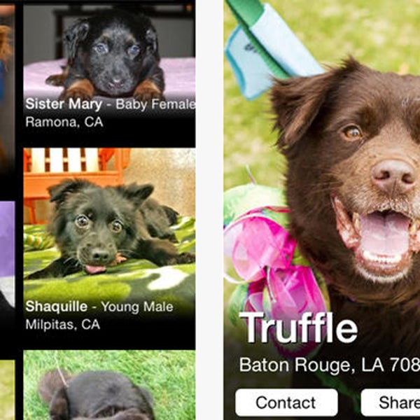 OutsideOnline PetMatch Superfish PetFinder connect look-alike dead dog deceased puppy pup miss your Rocky Shaquille Truffle match facial recognition technology Snapchat-y interface similarity distance users pet