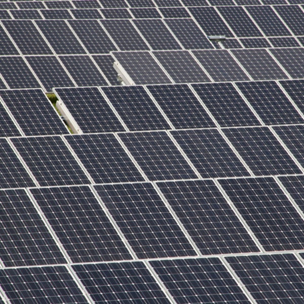 Apple Inc.m Tim Cook Greenpeace solar farms North Carolina
