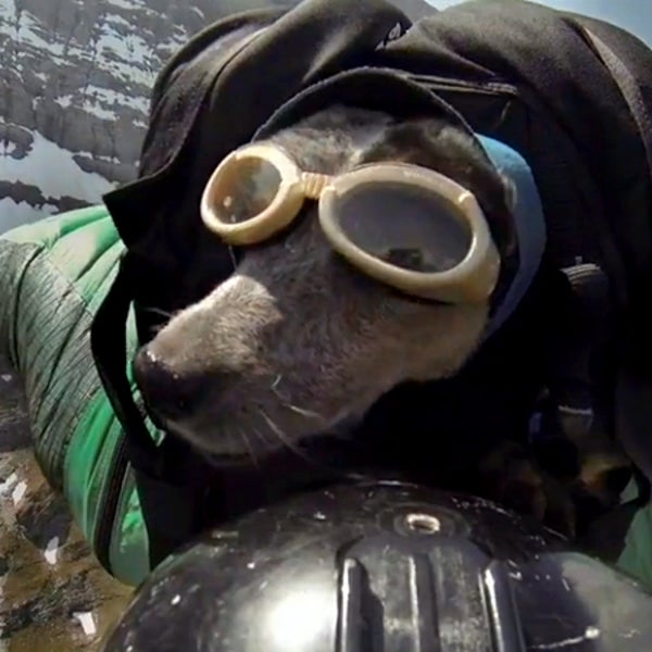 Whisper takes to the air in a special backpack attached to Potter's wingsuit.