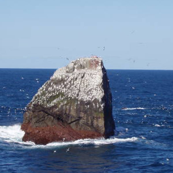 Good thing there are seagulls to keep Nick Hancock company on Rockall--because nobody wants to be lonely.