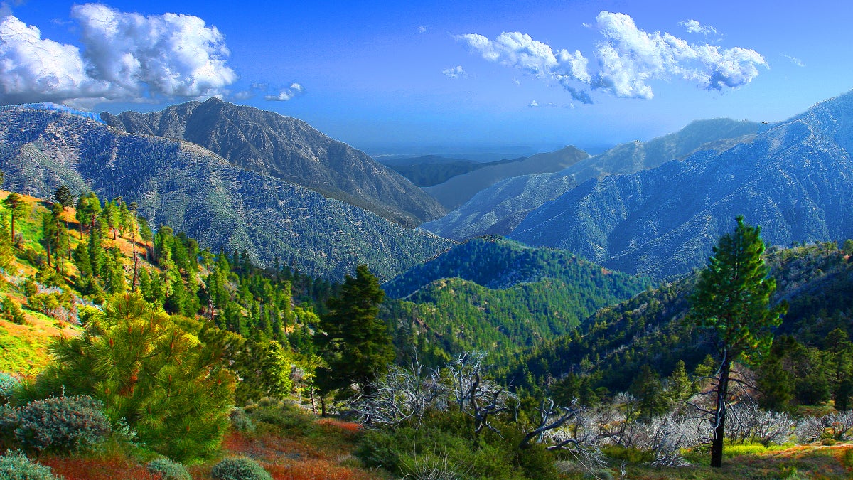 San Gabriels Declared National Monument Outside Online