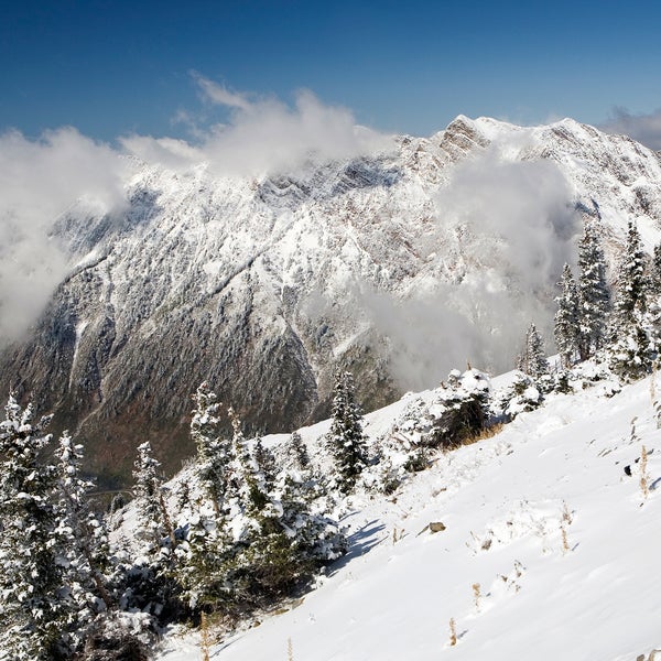 Alta Ski Resort Utah us forest service skiing snow sports snowboarding resorts news