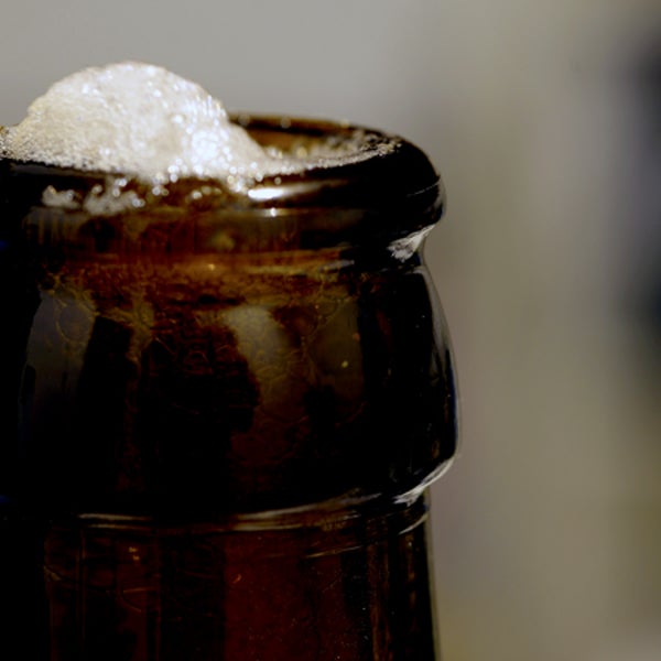 insect beer contamination environment food safety alcohol microplastics outside