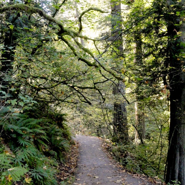 Hikers found a trip wire rigged to an improvised firearm in Portland's Forest Park.