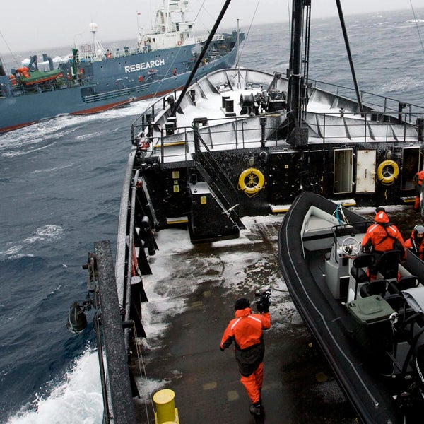 Action Antarctica 2008-2009 Arne Feuerhahn - Deckhand Campaign Conflict Day Fog Japanese whaling fleet Laurens De Groot - Deckhand Molly Kendall - Deckhand MV Steve Irwin Nicola Paris - 4th Cook Operation Musashi Outdoor Sea Shepherd Simon Avery - Bosun's Mate Storm Weather Wietse Van Der Werf - Ship's Ca Yushin Maru No 2