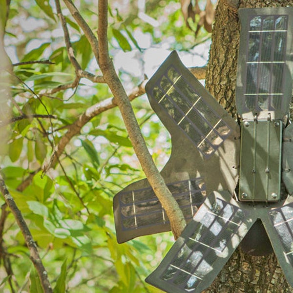 Rainforest Connection Amazon Amazon Rainforest illegal logging deforestation smartphones e-waste rare earth metals listening device solar power rainforest habitat species extinction cloud api geolocation chainsaw topher white outside magazine outside online news from the field recycling smartphones