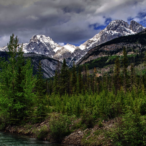 rocky mountains climate change environment trees outside