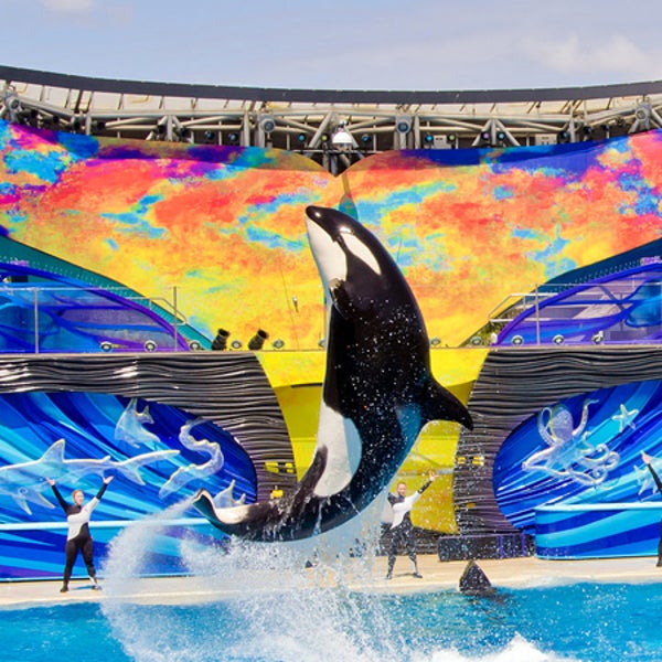 Seaworld has stated that negative media coverage has attributed to the decline is park attendance.