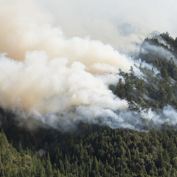 king fire california outside