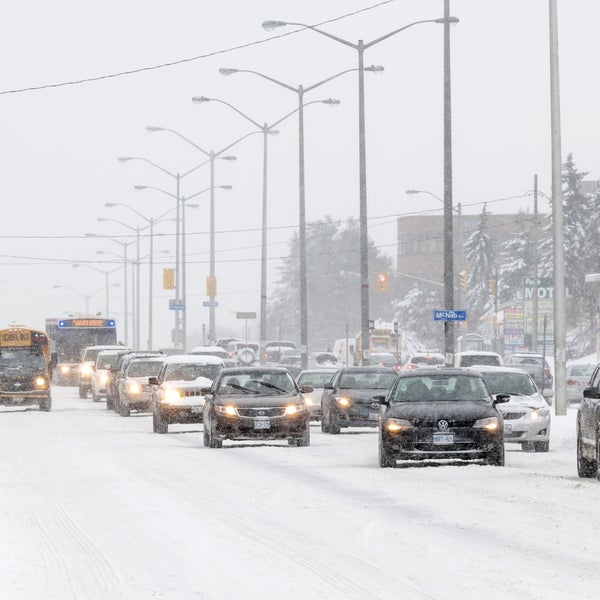 toronto polar vortex white house libertarians