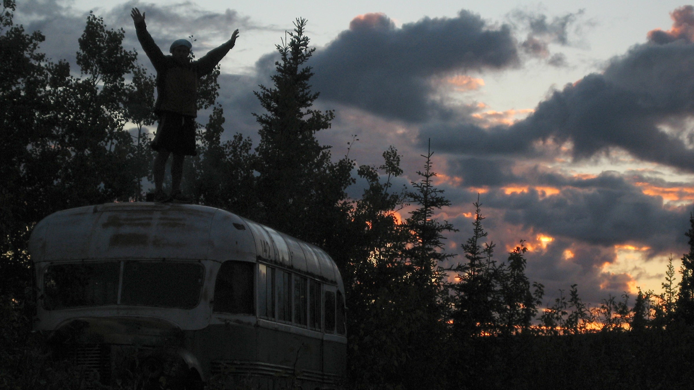 jon krakauer chris mccandless into the wild hedysarum alpinum wild potato