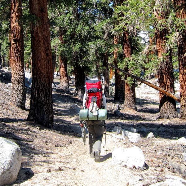 pacific crest trail wild cheryl strayed reese witherspoon hiking