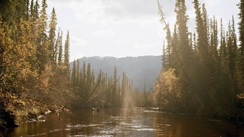 out there outside photography yukon