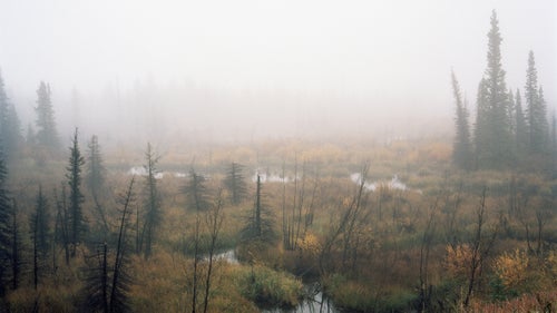 out there outside photography yukon