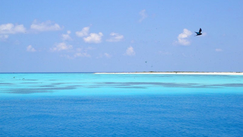 OutsideOnline Footprint National Park Dry Tortugas Key West Florida