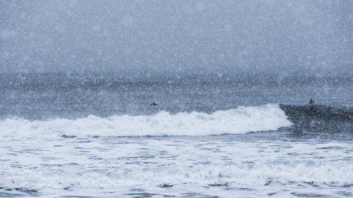 east coast winter winter weather surfing maine snow dogs