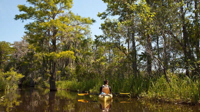 OutsideOnline swamp kayak Okefenokee campsites southeast