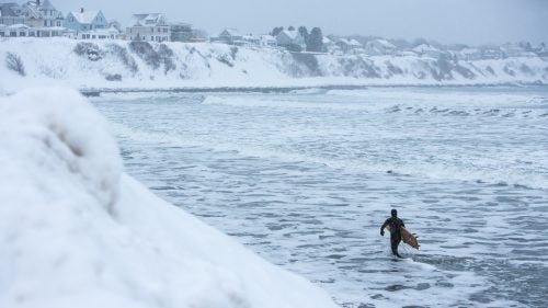 east coast winter winter weather surfing maine snow dogs