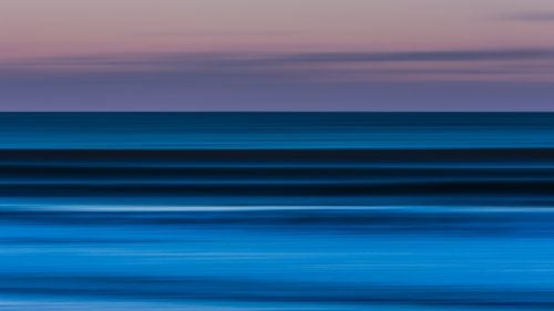 east coast winter winter weather surfing maine snow dogs