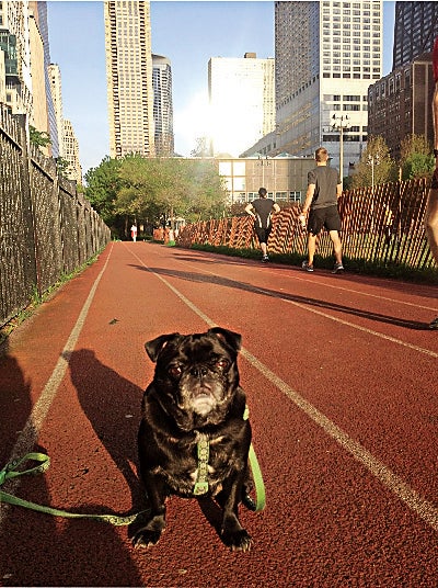 The most supportive running buddy.
