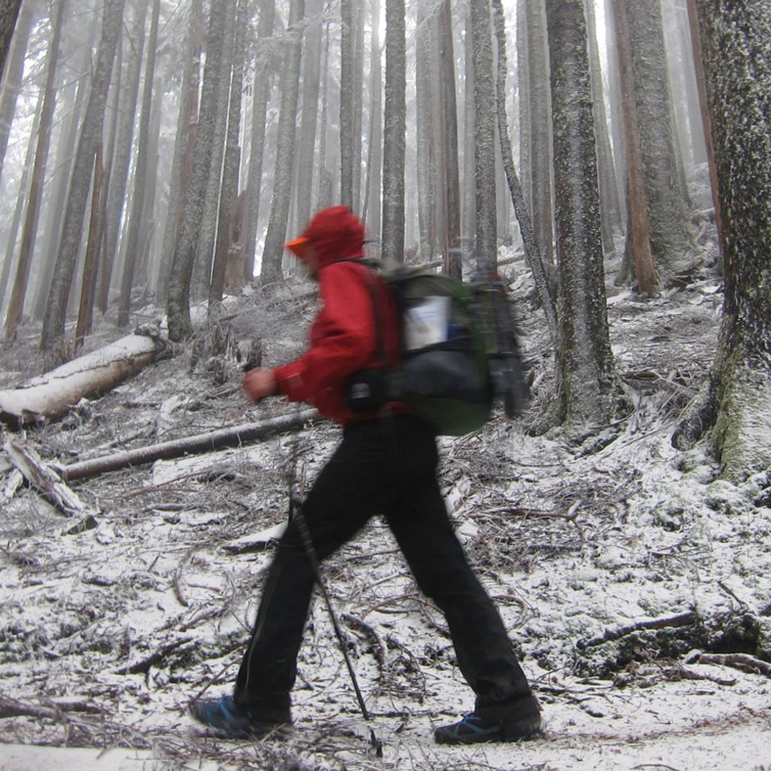 pacific crest trail shawn forry Justin Lichter