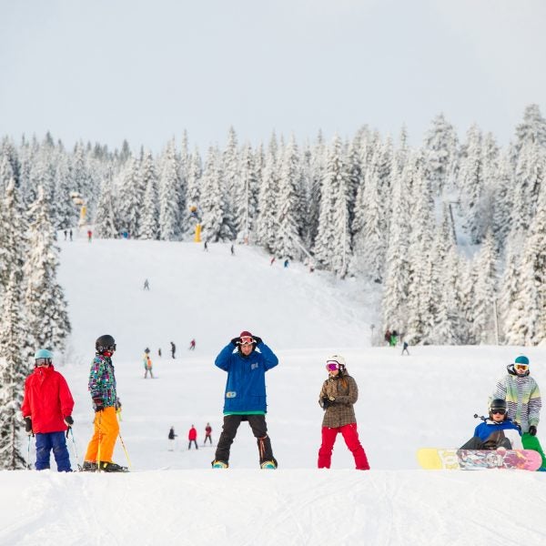 ski in william
