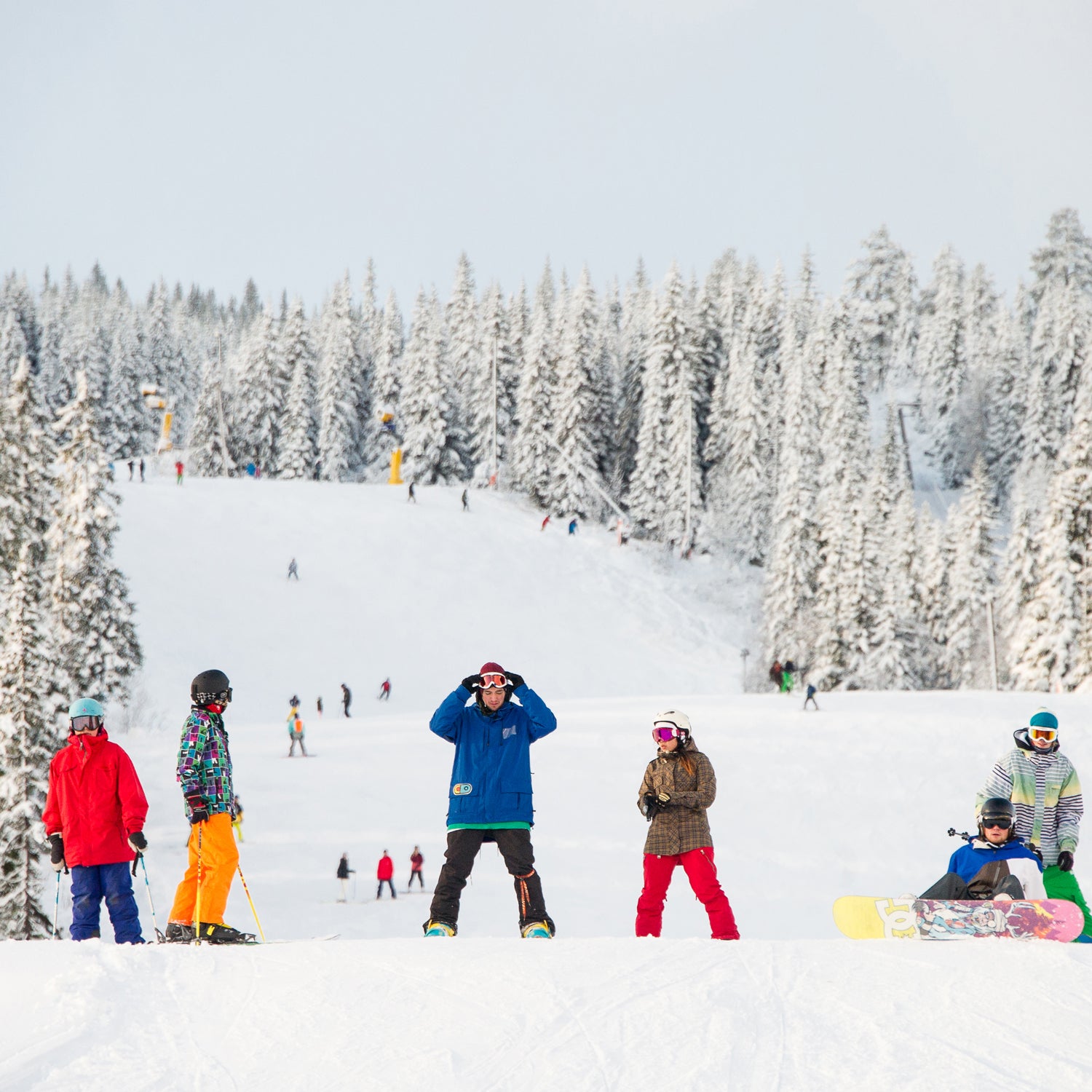 ski in william