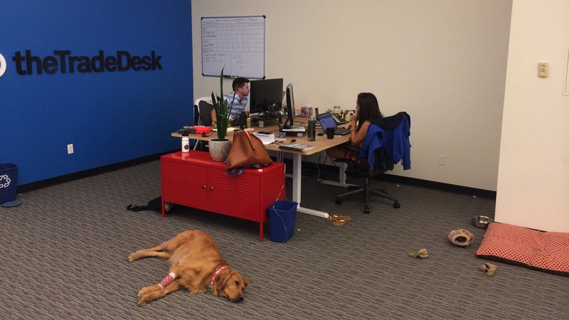 best places to work Outside Online