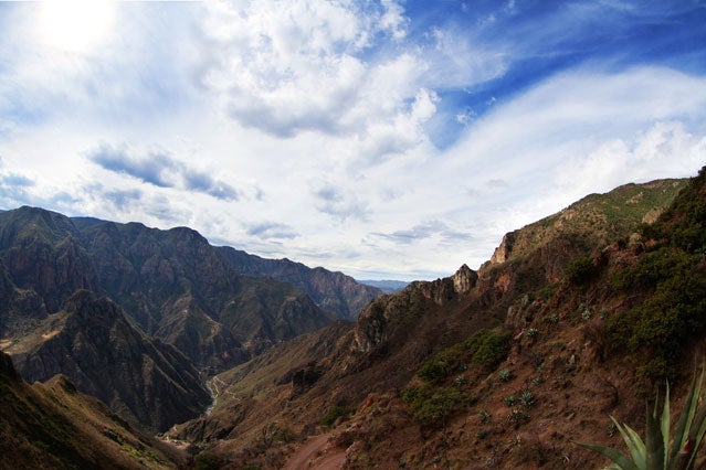 Copper Canyon