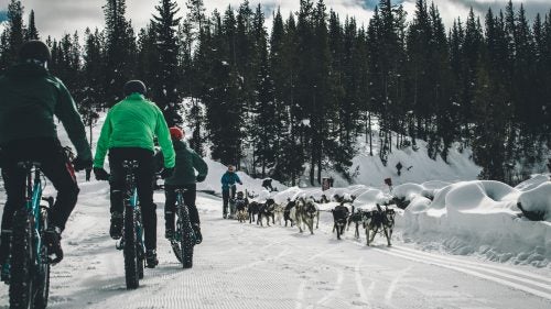 Fat biking jackson cycling guys trip