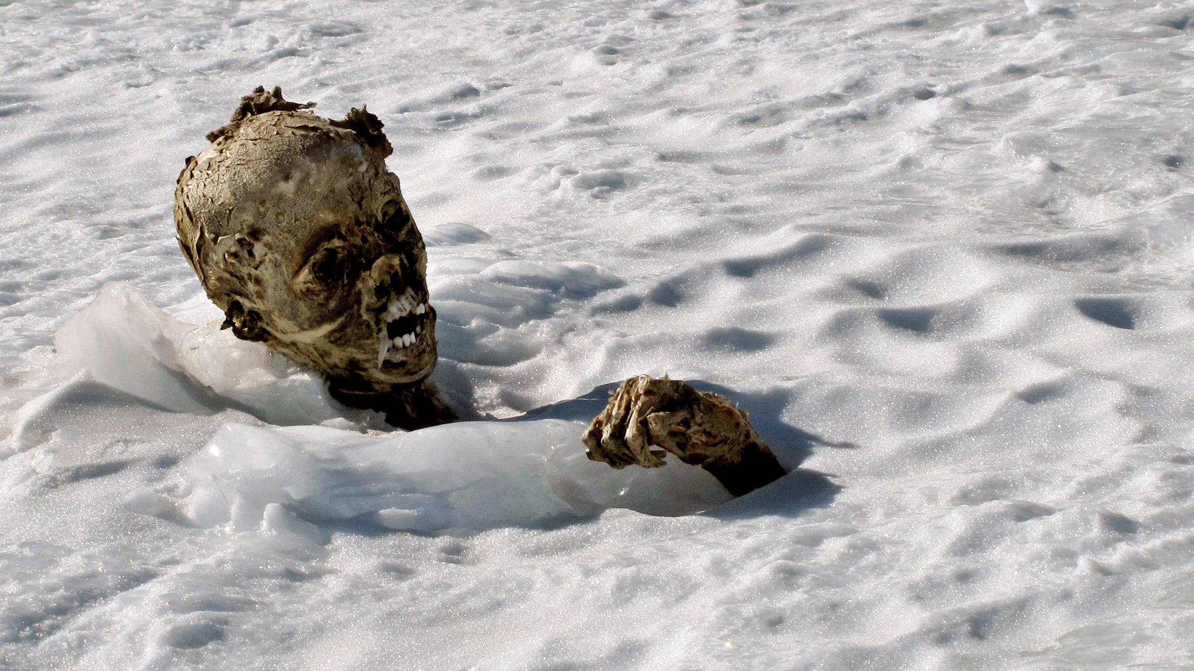 mummified-glacier-body_h.jpg